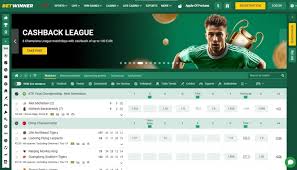 Exploring Betting Opportunities with Betwinner Bet 24